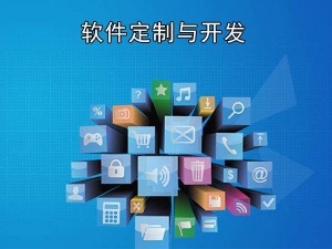 南昌網(wǎng)絡整合營銷與軟件開發(fā)全方位服務指南